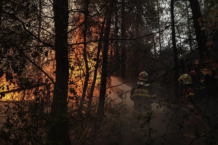 Νέα φωτιά στην Έυβοια - 25 δασικές πυρκαγιές το τελευταίο 24ωρο