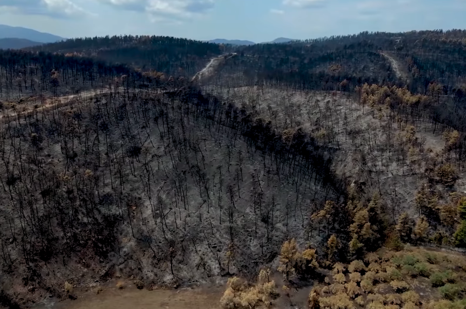 Εύβοια: Η μεγαλύτερη οικολογική καταστροφή στην ιστορία όπως την κατέγραψαν drones (video)