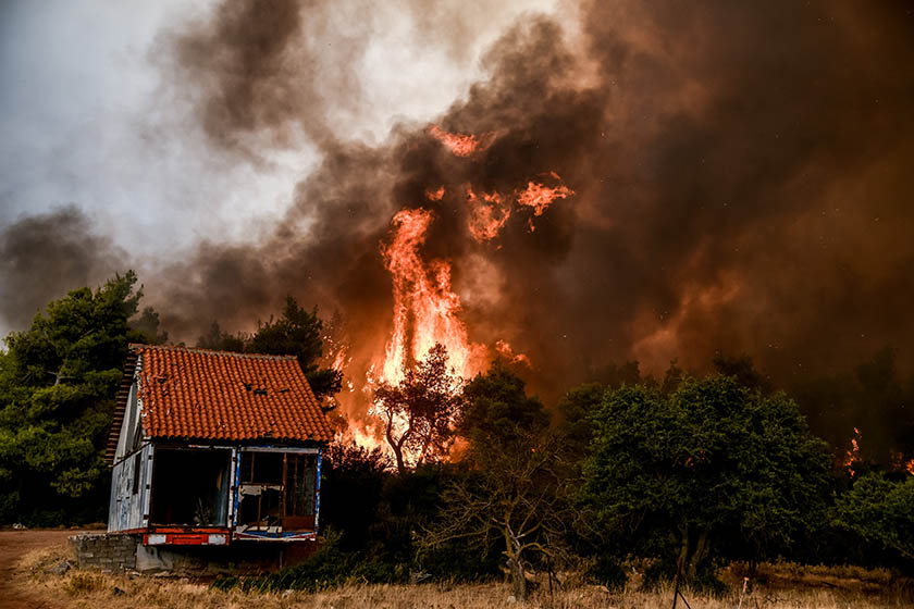 Νέα μεγάλη φωτιά σε παρθένο δάσος που κατευθύνεται προς Βίλια - Αντιδράσεις και ενημέρωση στο Twitter (video -εικόνες)
